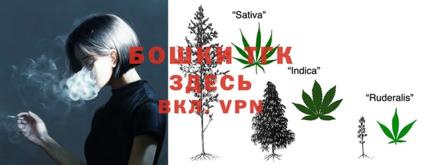 гашик Верхний Тагил