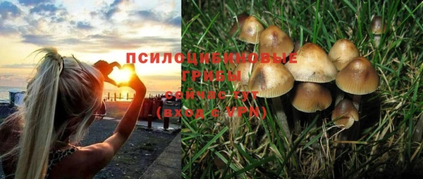 гашик Верхний Тагил