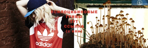 гашик Верхний Тагил