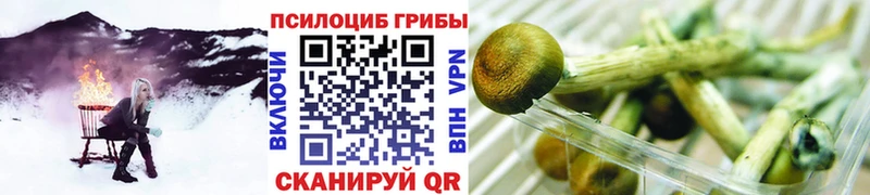 площадка клад  Вяземский  Галлюциногенные грибы прущие грибы 